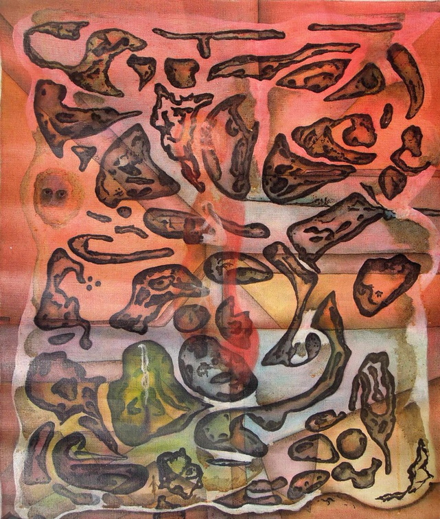 foto a 13