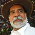 foto alva5