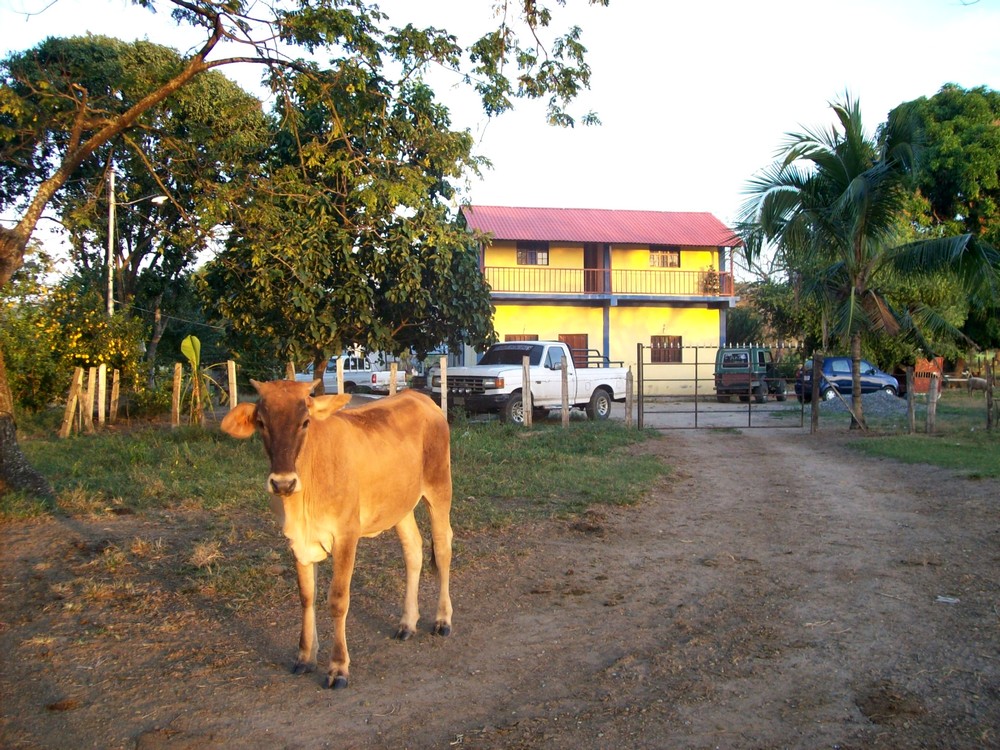 En la finca de mi hermano