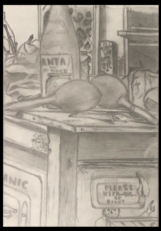 A17